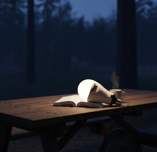 NWZ Rechargeable Emergency LED Bulb AC/DC 20W to 30W Bulb With Type-C Charging 3-6 Hours Equivalent, 1200mAh 3 Battery Backup, E27 Dimmable 2000LM for Power Outages, Home, Camping, Outdoor Activities